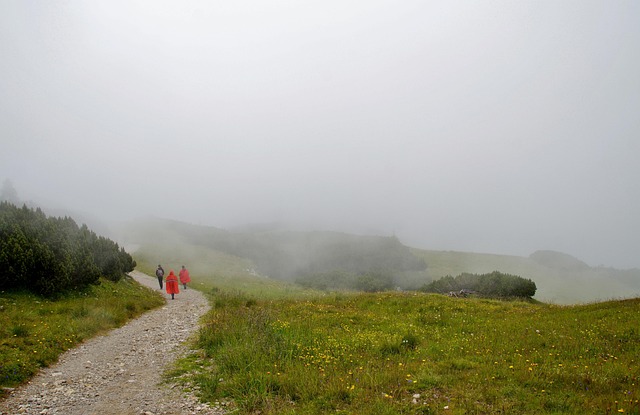 春の遠足は奈良の若草山ハイキング!楽しいハズがまさかの雨~