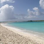 水泳訓練のお知らせをもらいました。行く？行かない？