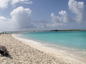 水泳訓練のお知らせをもらいました。行く？行かない？